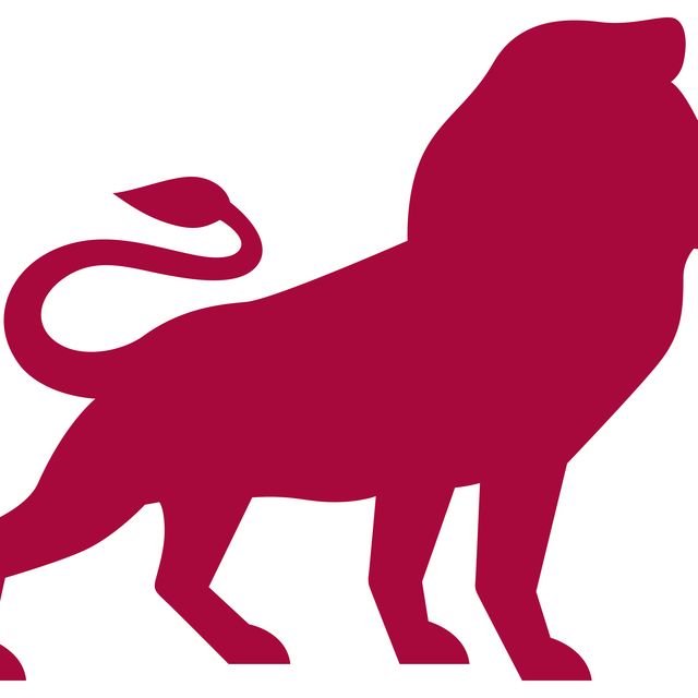 Logo- Löwe Borussia Düsseldorf