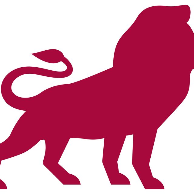 Logo- Löwe Borussia Düsseldorf